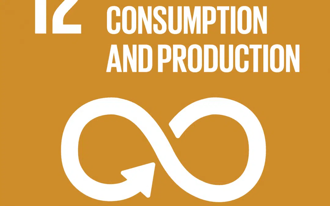SDG 12: Responsible Consumption and Production