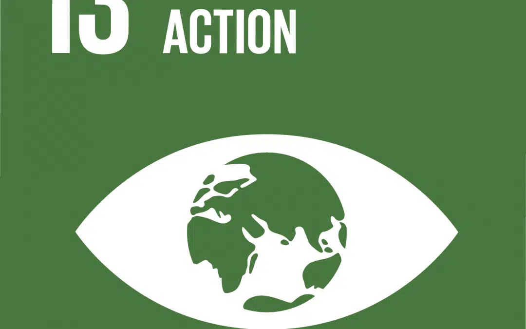 SDG 13. Climate Action