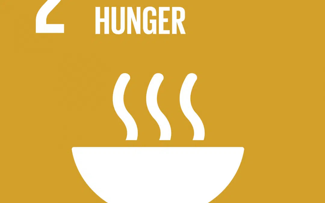 SDG 2: Zero Hunger