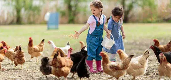children to farm visit