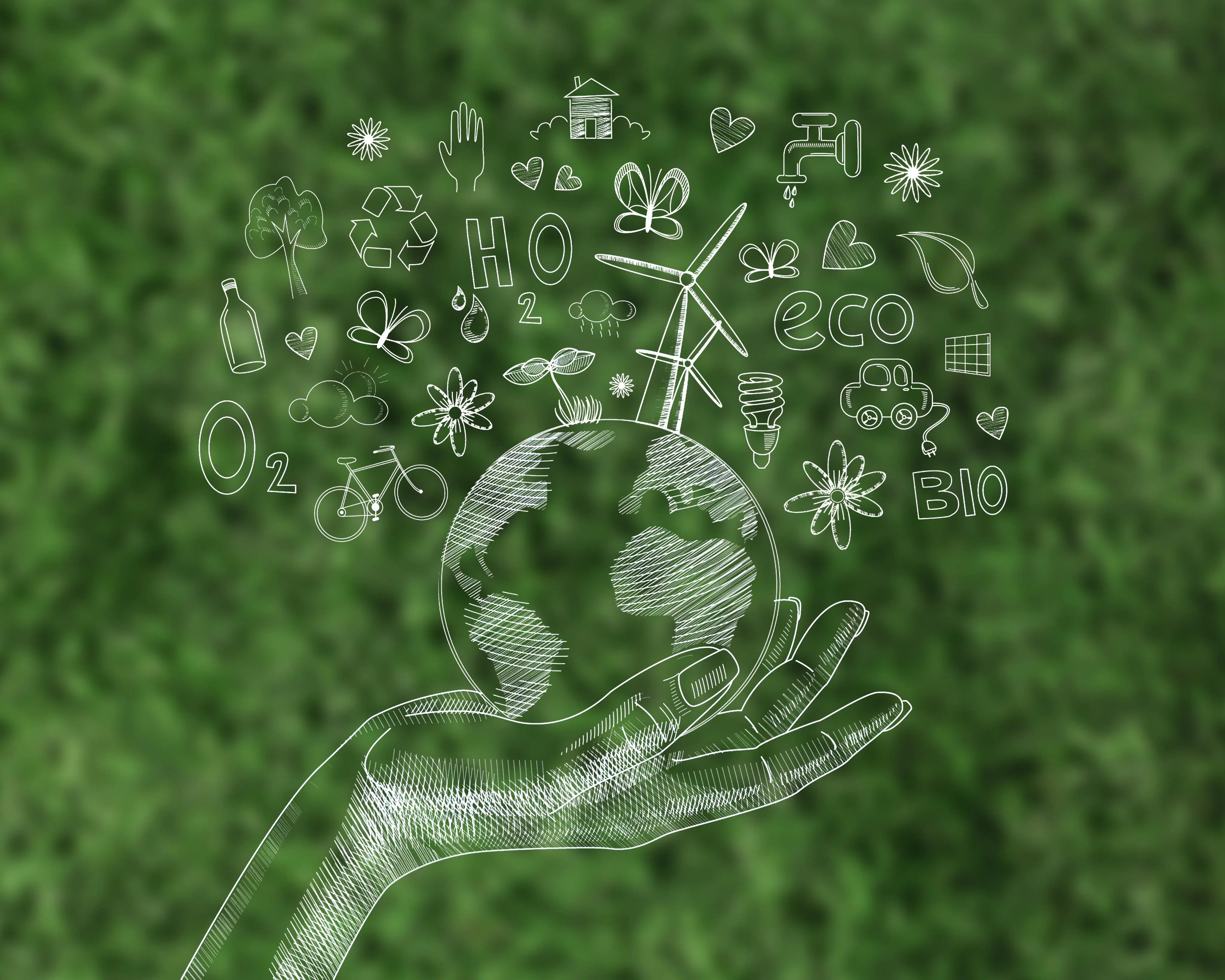 7 Ways To Take Care Of The Environment And Make A Difference MAPFRE Malta