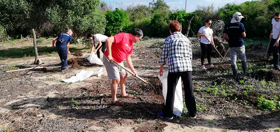 MAPFRE team up with BirdLife Malta for Habitat Restoration