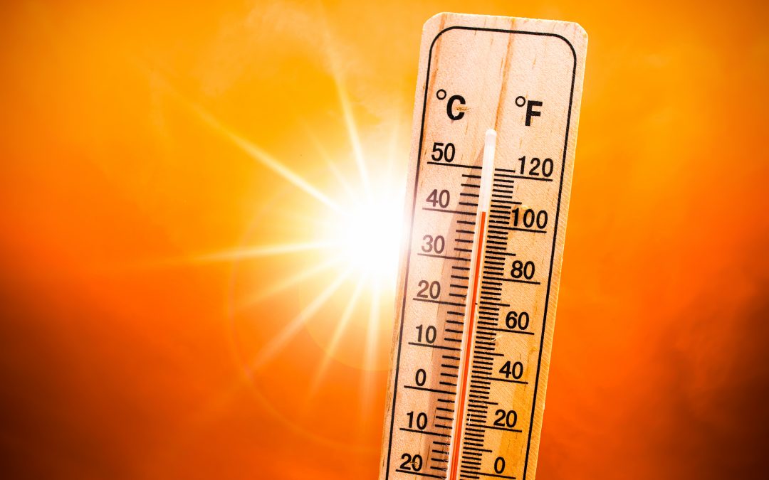 Surviving a Heatwave in Malta: Tips to Keep Cool and Safe