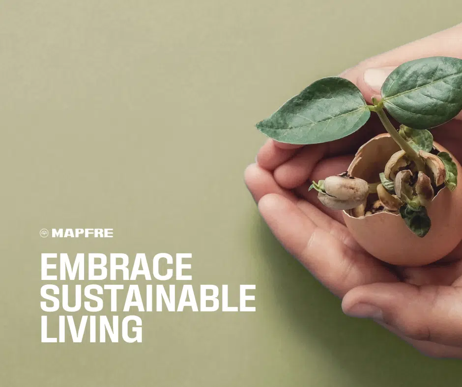 Embrace Sustainable Living: A Beginner's Guide to Green Practices
