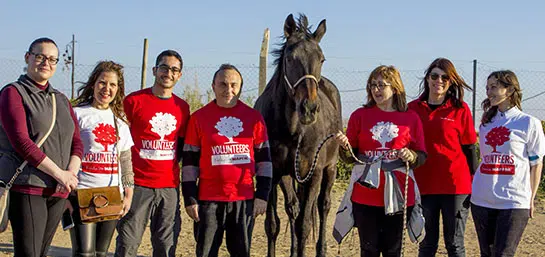 Employees of MAPFRE Malta spent time volunteering at the Malta Horse Sanctuary